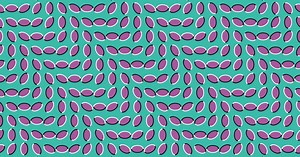 The Beauty of Mathematics: It Can Never Lie to You