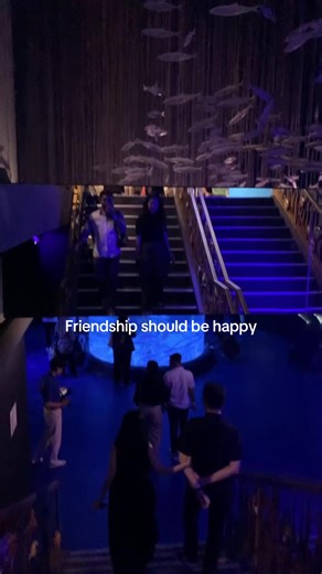 Understanding the Friendship Zone