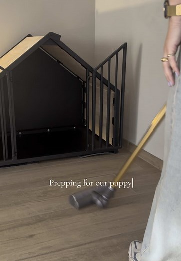 Preparing for Our New Cocker Spaniel Puppy