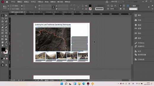 【自用】ID indesign速成基础扫盲教程｜景观竞赛预排版和排版｜作品集排版｜建筑｜风景园林 复健