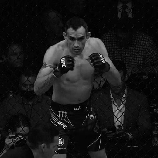 Tony Ferguson UFC Highlights and Knockouts