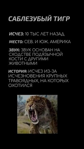 Птица додо: звуки, которые она издает