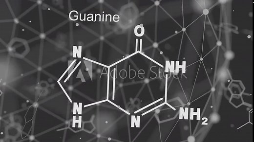 Chemical structural formula of guanine - DNA and RNA nitrogen base