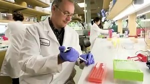 3 comments | “Turning Sugar into Spandex:” Creating a Company...