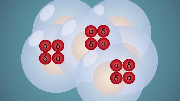 5.6K views | Using CRISPR-Cas9 to repair the HBD promoter leads to...