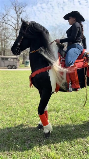 Festival Parade Highlights in Conroe, Texas