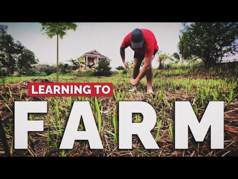 Learning to be a farmer in Thailand