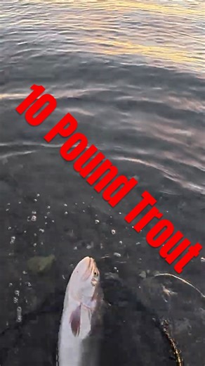 Pyramid never disappoints #fishing #shortsfeed