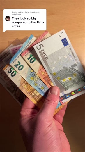 Replying to @Ronnie is the Goat size difference in bank note of old Ireland and the euro. #irishnostalgia #foryoupage #fyp #ireland #irelandtiktok #banknotes #oldireland #banknotescollection #allthingsirish #numismatics #euro #nostalgic #eire #irelandofthepast #irelanddaily