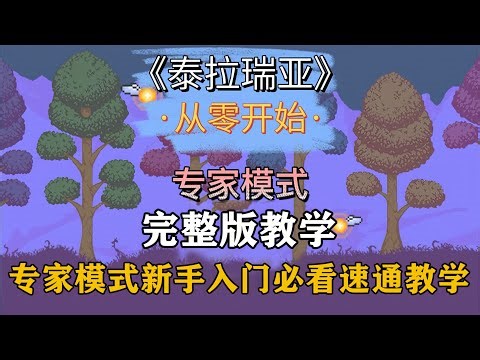 完整版：泰拉瑞亚专家难度从出生到通关全过程！跟着教授一起开启全新征程！【A教授-泰拉瑞亚】