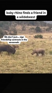 222K views · 2.9K reactions | Game of tag in the forest. | Scientify.info | Facebook