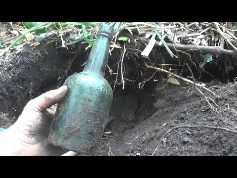 Jungle Digging 101..Florida Adventure