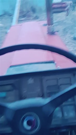 Feeding Cows with the 1486 Tractor: A Farming Experience