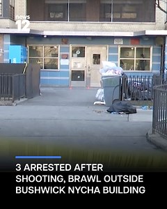 BUSHWICK BRAWL: Three men have been arrested after a shooting outside a NYCHA building. - https://bit.ly/4aXYwSa | News 12 Brooklyn