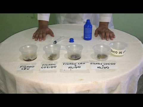 Ação da catalase (ENZIMAS)