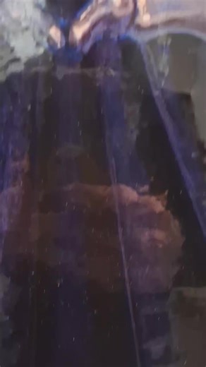 IM AT A PARTY.... #discworld #discworldtiktok #exhibition #fantasy #terrypratchett