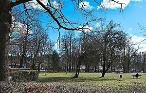 Für rund 1,8 Millionen Euro: Neustart für den Deggendorfer Stadtpark