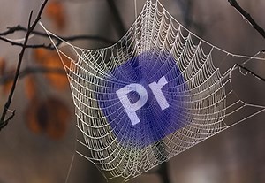How to Make Spooky Halloween Titles in Premiere Pro (With a Template) | Envato Tuts