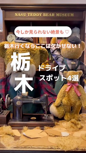 栃木観光: 宇都宮でのデートスポットとドライブコースをおすすめ