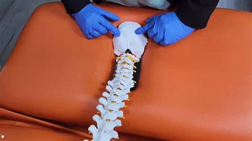 Dr. Chakshu on Instagram: "Modern problems need advanced learning. Physiotherapy education, redefined by technology. Committed to teach. Committed to integrity. #Physiotherapy #Physiotherapist #PhysioLife #PhysioEducation #PhysioStudents PhysioProfession OnlineLearning DigitalEducation EdTech FutureOfEducation LearningReimagined"