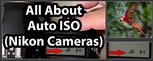All About Auto ISO (Nikon Cameras) - Backcountry Gallery