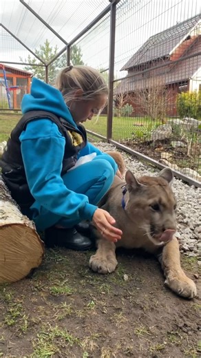 203K views · 7.3K reactions | i like feeding him from my hands | Puma London | Facebook