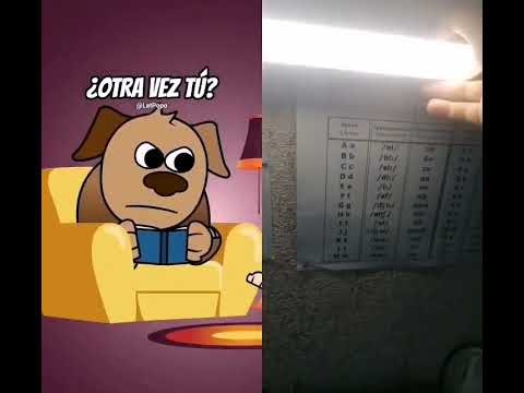 25 января 2026 г.