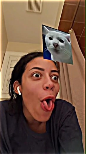 cat meme face 🤓 🤓#shorts #duet #funny #shortvideo