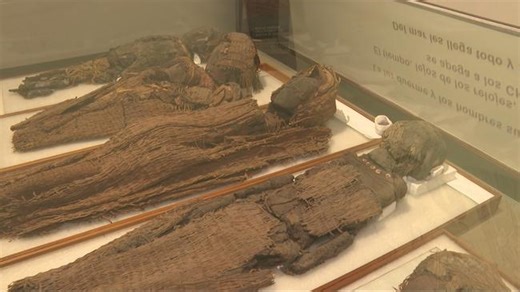 Ancient Chinchorro mummies reveal secrets of survival in Chile’s Atacama Desert