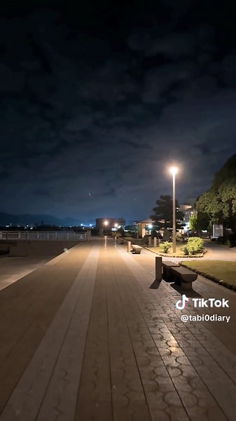 竹島の美しさと魅力を探訪