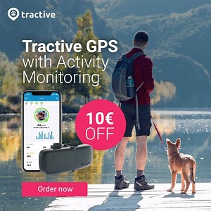 💥 NEW: Track your dog's activity - whether they're asleep or running around - and know where they are at all times. Location tracking activity monitoring for your dog 🐶 Get 10€ off: bit.ly/Active20 | Tractive