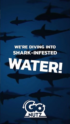 Go Nutz debut on Shark Tank