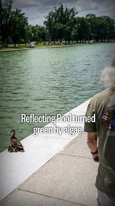 Despite President Trump’s multi-million dollar project to turn the DC Mall’s Reflecting Pool “American Flag Blue,” algae has left the landmark quite green. Efforts are underway to use new technology to clear the algae. NBC News’ Ryan Nobles reports.