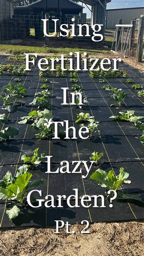 3.2K views · 54 reactions | Adding fertilizer to your Lazy Garden routine is EASY!!!  . . #growhoss #gardeningtips #getdirty #growyourownfood #hoss | Hoss | Facebook