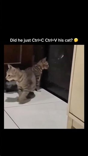 When you find the copy-paste button in real life 🤯 #shorts