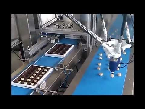 Pick & place robot for chocolate pralines equipped with Vuototecnica vacuum cylinders