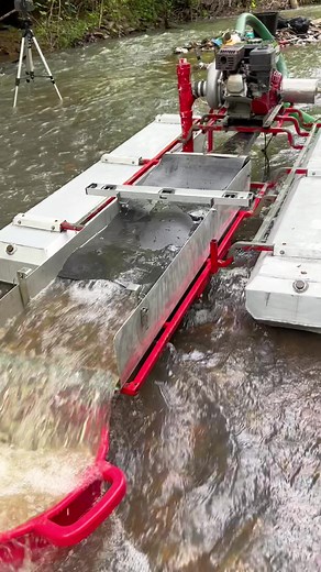 Gold Dredge - Keene 3” - digging gold rich paydirt @Internal Compass of NC #goldprospecting #prospectinggold #gold #prospecting #goldmine #golddigger #goldmining #goldrush #mininggold #diggingforgold #goldprospector #mining #goldpanning