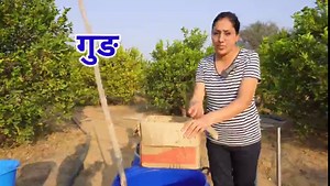 34K views · 211 reactions | Bio-enzyme fertilizer for plants | organic fertilizer and tonic for vegetable crops #bioenzyme #farming #kheti #fertilizers #organicfarming #horticulture #fertilizer #vegetablecrops #OrganicFertilizer #indianorganicjourney #khetibadi #agriculture | Indian organic journey | Facebook