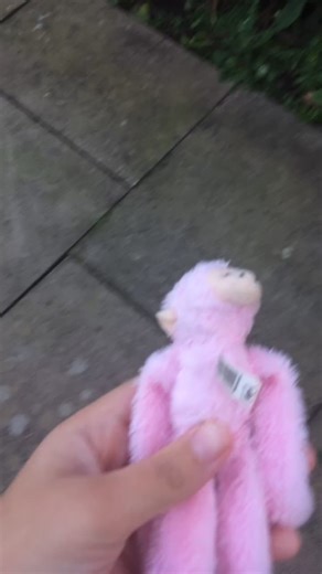 🙈 (@monkey..adventures)’s videos with original sound - 🙈