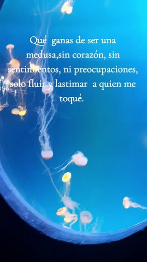 Rosy Martinez Ortega on TikTok