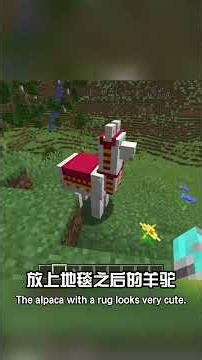 我的世界老玩家都知道的冷知识 Little-known facts that veteran Minecraft players should know #minecraft #麥塊 #遊戲