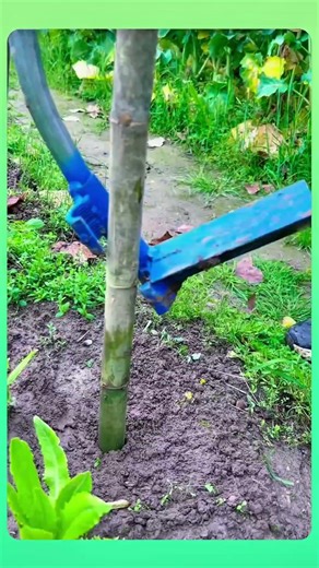 A sturdy pushing rod used to drive wooden posts firmly into the ground. #popular #shortvideo