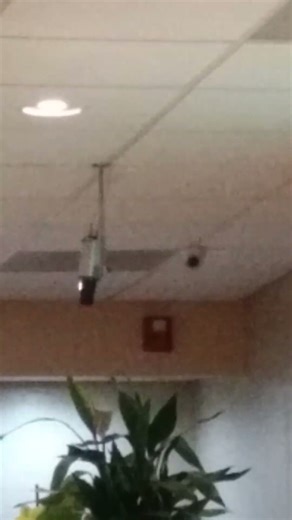 Gentex Commander 3 Horn Strobe