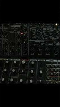 I Saw 3 Behringers #midi #synth #trackermusic #synthesizer #electronicmusic #looper #raspberrypi