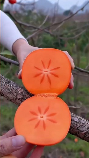 Fresh & Colorful Fruits | Healthy and Refreshing Visuals