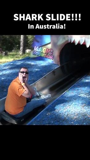 31K views · 254 reactions | Shark Slide! Who wants to ride? | Theme Park Review | Facebook