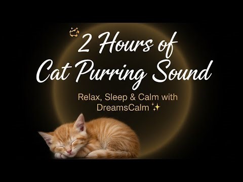 1 Hour Cat Purring Sound – Relax, Sleep & Calm 😴🐱 | Black Screen