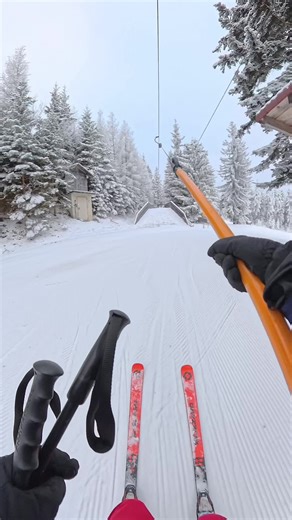 Discover the Thrill of Skiing in Winter Wonderland