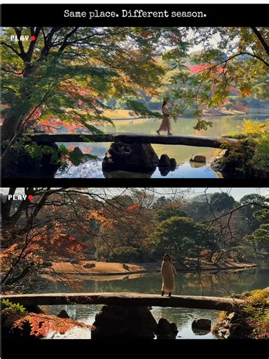 Exploring Tokyo's Seasons: Autumn to Winter