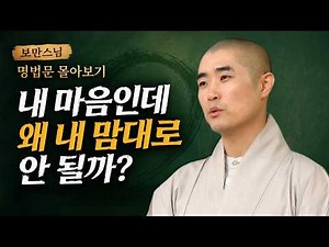 [#보만스님] 내 마음을 제대로 사용하는 법｜마음의 구조부터 기능까지, 불교심리학 1~5강 | 명법문 몰아보기 #불교심리학